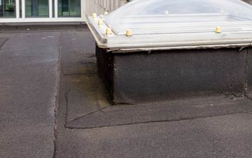 disadvantages of Snaisgill flat roofs